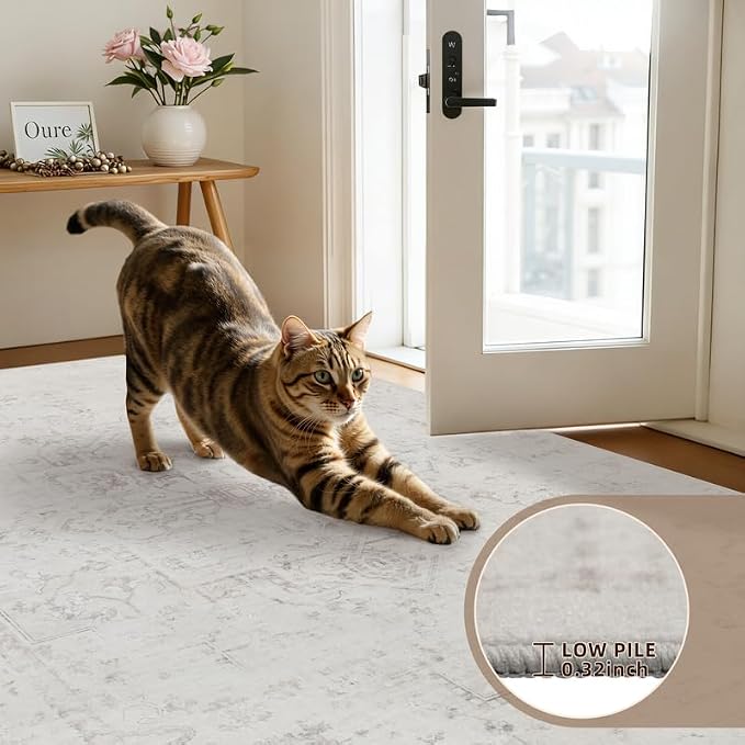 6x9 Area Rugs for Living Room: Vintage Boho Neutral Washable Rug Indoor Soft - Image 7