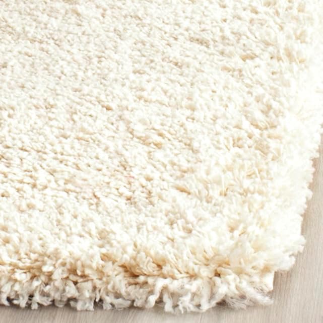 SAFAVIEH Area Rug 3x5 - Image 4