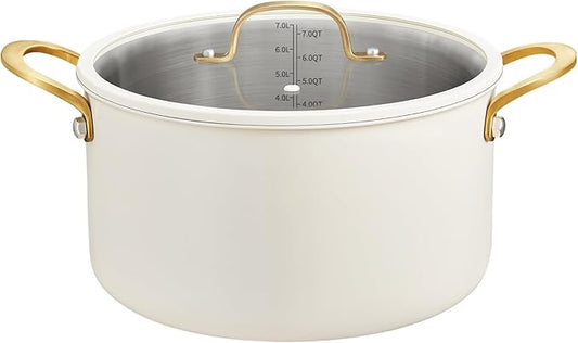 BEZIA 8 Quart Stainless Steel Stock Pot, Casserole by BEZIA