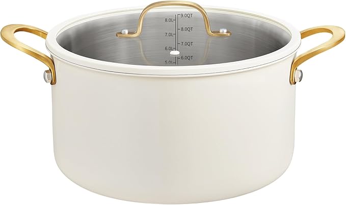 BEZIA 10 Quart Stainless Steel Stock Pot, Large Soup Pot, Casserole by BEZIA