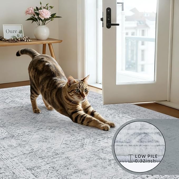 Round Area Rug for Living Room: 8ft Vintage Boho Neutral Washable Circle Rug - Image 6