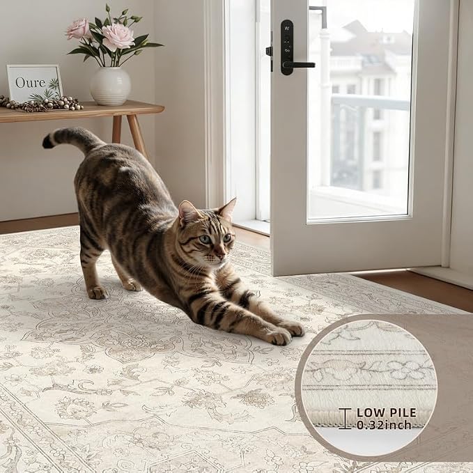 3x5 Area Rugs for Living Room: Vintage Boho Neutral Washable Rug Indoor Soft - Image 7