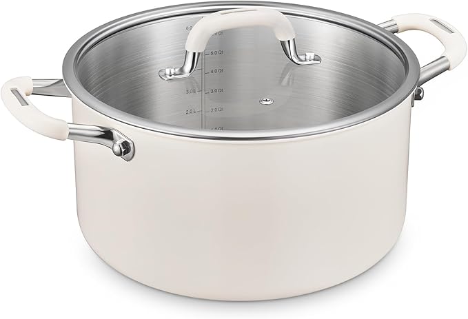 6 Quart Nonstick Stock Pot by BEZIA