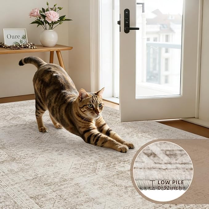 6x9 Area Rugs for Living Room: Vintage Boho Neutral Washable Rug Indoor Soft - Image 7