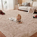 Area Rug for Living Room Bedroom: 5x7 Soft Fluffy Shag Rugs Upgrade Non-Slip by EXPEDIX