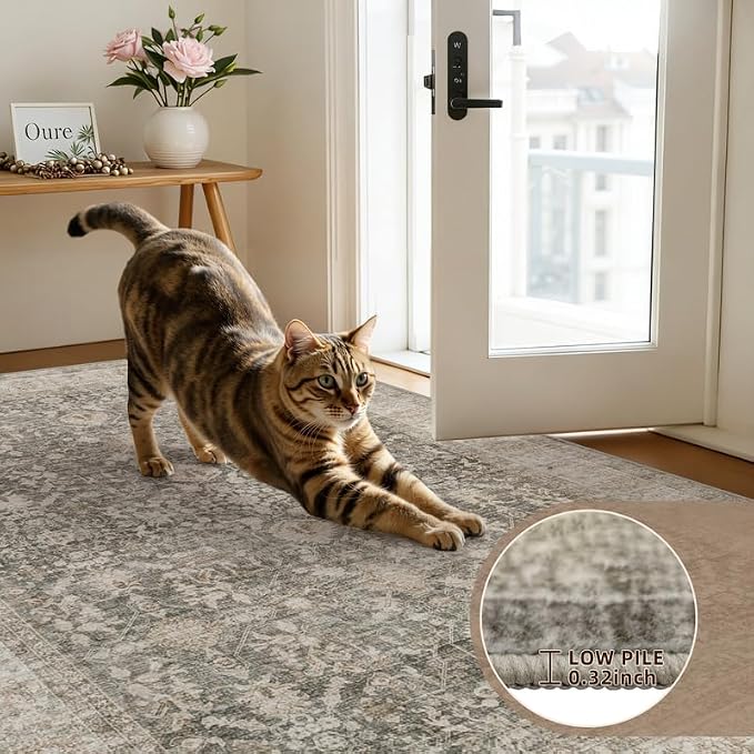 Area Rugs 9x12 Living Room: Vintage Boho Neutral Washable Rug Indoor Soft Large - Image 9