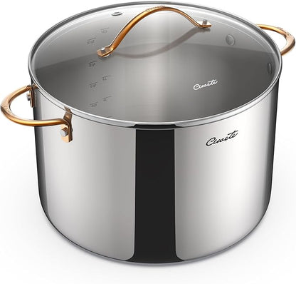 Ciwete 12 Quart Stock Pot with Lid, Upgraded Tri-Ply Stainless Steel Pot by Ciwete
