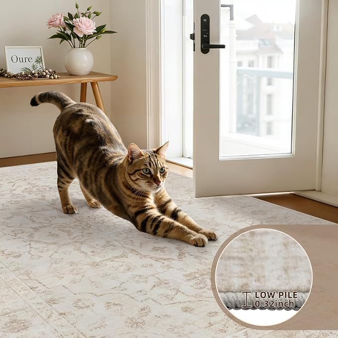 8x10 Area Rugs for Living Room: Vintage Boho Neutral Washable Rug Indoor Soft - Image 9