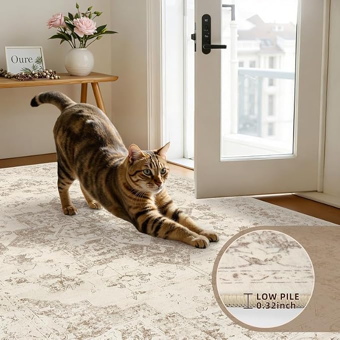 Round Area Rug for Living Room: 8ft Vintage Boho Neutral Washable Circle Rug - Image 6