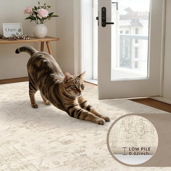 Machine Washable Area Rugs 2x3: Vintage Boho Neutral Washable Rug Indoor Soft - Image 6