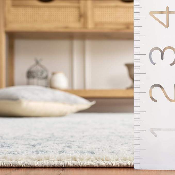 SAFAVIEH Adirondack Collection Accent Rug - Image 5