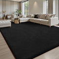 Sour Lemon 5x7 Area Rugs for Living Room, Soft Large Area Rug Fluffy Rugs for by SourLemon
