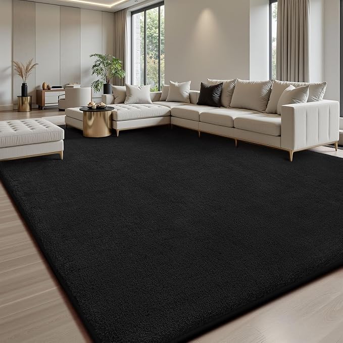 Sour Lemon 10x14 Area Rugs for Living Room, Soft Large Area Rug Fluffy Rugs for by SourLemon