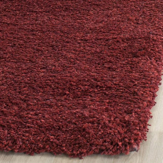 SAFAVIEH Area Rug 4x6 - Image 4
