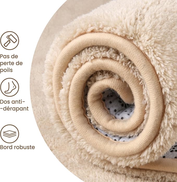 Sour Lemon 9x12 Area Rugs for Living Room, Soft Large Area Rug Fluffy Rugs for - Image 4