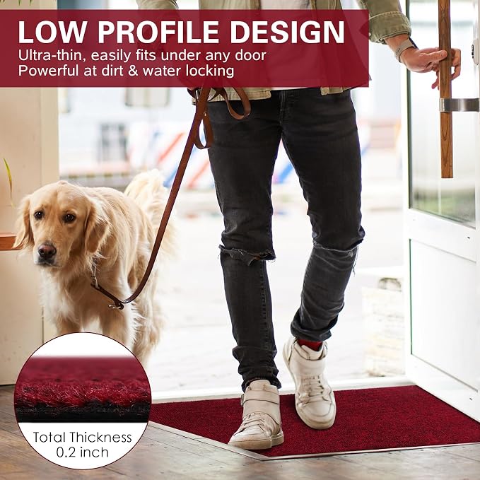 Thin Indoor Doormat Entryway Mats Front Porch Doormats, Non-Slip Dirt-Resistant - Image 4