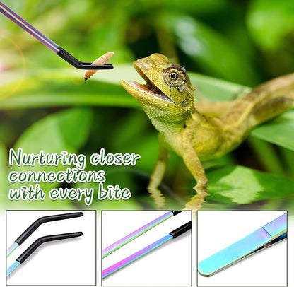2PCS Stainless Steel Reptile Feeding Tongs - Image 6