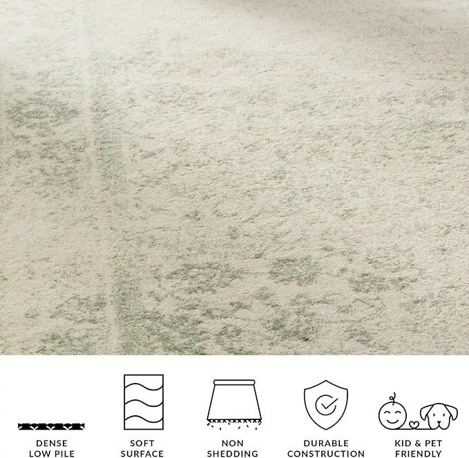 SAFAVIEH Adirondack Collection Area Rug - Image 9