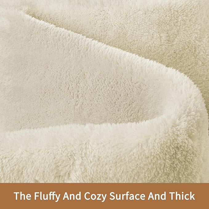 Sour Lemon 9x12 Area Rugs for Living Room, Soft Large Area Rug Fluffy Rugs for - Image 2