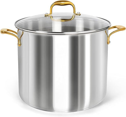 MICHELANGELO Stainless Steel Stock Pot by Michelangelo