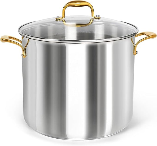 MICHELANGELO Stainless Steel Stock Pot by Michelangelo