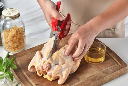 Heavy Duty Poultry Shears - Image 5