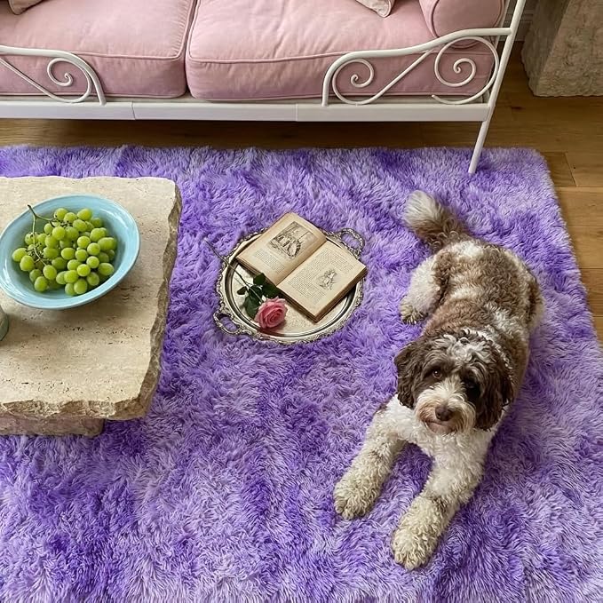Mugorn 2x3 Rugs for Bedroom, Fluffy Area Rugs for Living Room, Soft Shag Kids - Image 9