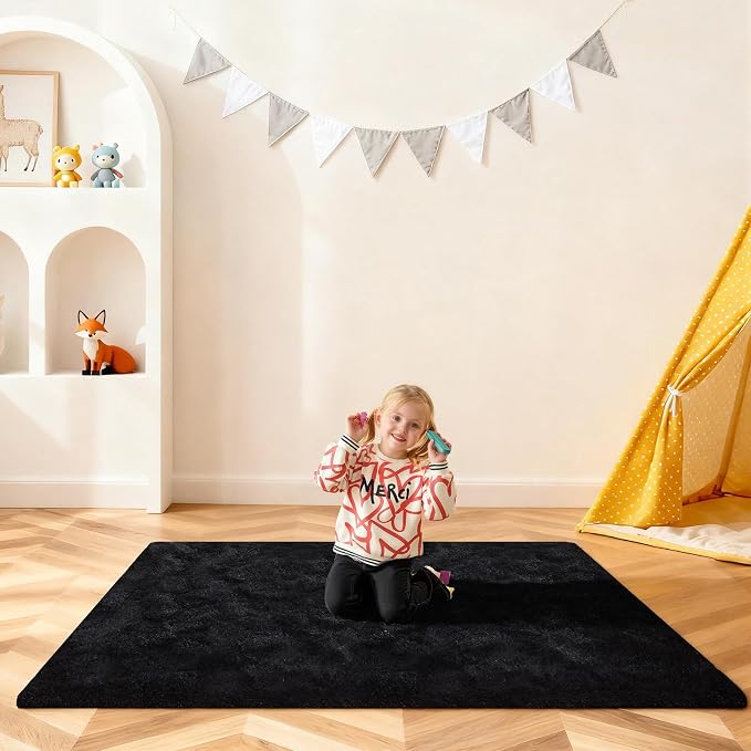 Black Rugs for Bedroom, 4x6 Fluffy Area Rugs for Living Room, Small Fuzzy Shag by Unknown