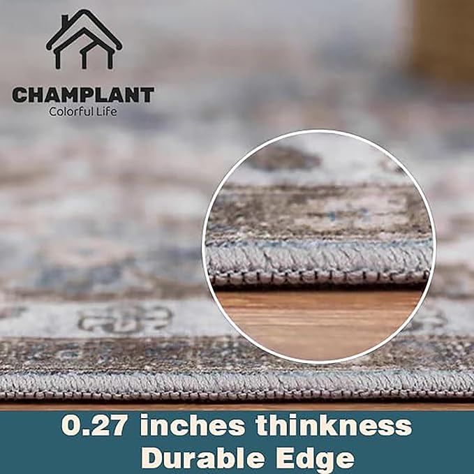 CHAMPLANT Washable Area Rug 2'x3' Door Mat Vintage Distressed Doormat Indoor - Image 2