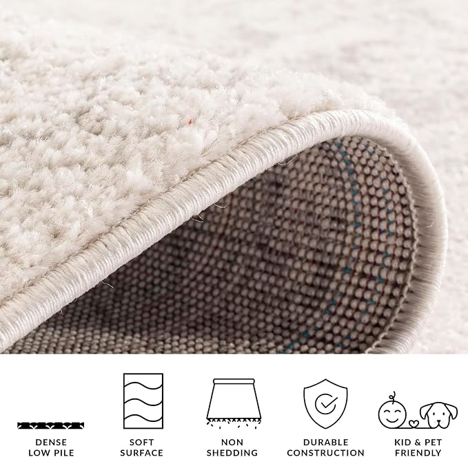 SAFAVIEH Adirondack Collection Area Rug - Image 9