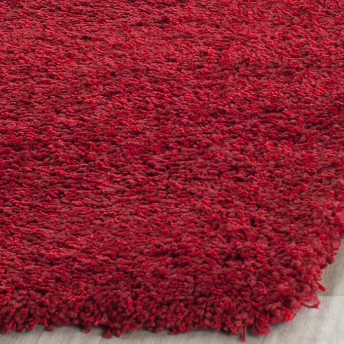 SAFAVIEH Area Rug 4x6 - Image 4
