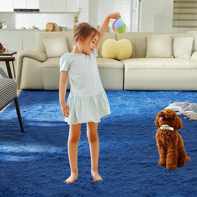 Ultra Soft Rug for Living Room, 6X9 Fluffy Shag Area Rug for Bedroom, Modern - Image 7