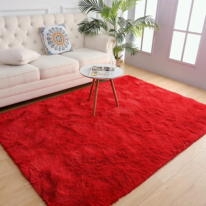 Chicrug Soft Area Rugs for Bedroom Living Room Plush Fluffy Rug 3x5 Feet by ChicrugHomeDecor
