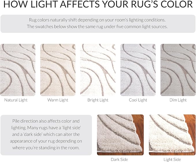 SAFAVIEH Florida Shag Collection Accent Rug - Image 7