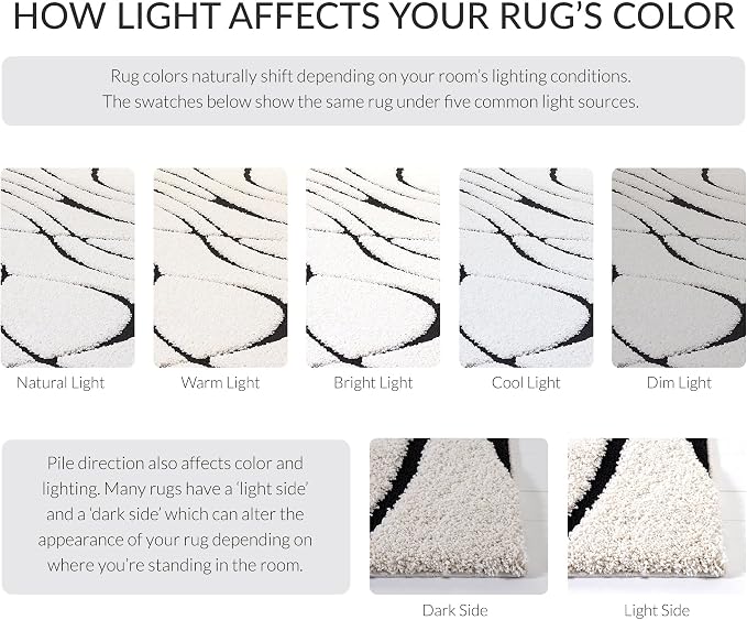 SAFAVIEH Florida Shag Collection Area Rug - Image 8