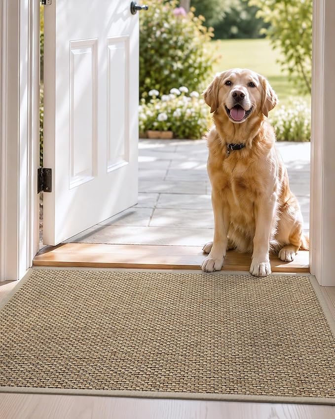 DEXI Ultra Thin Entryway Indoor Door Mat 36x56, Non Slip Rubber Backing Inside - Image 9