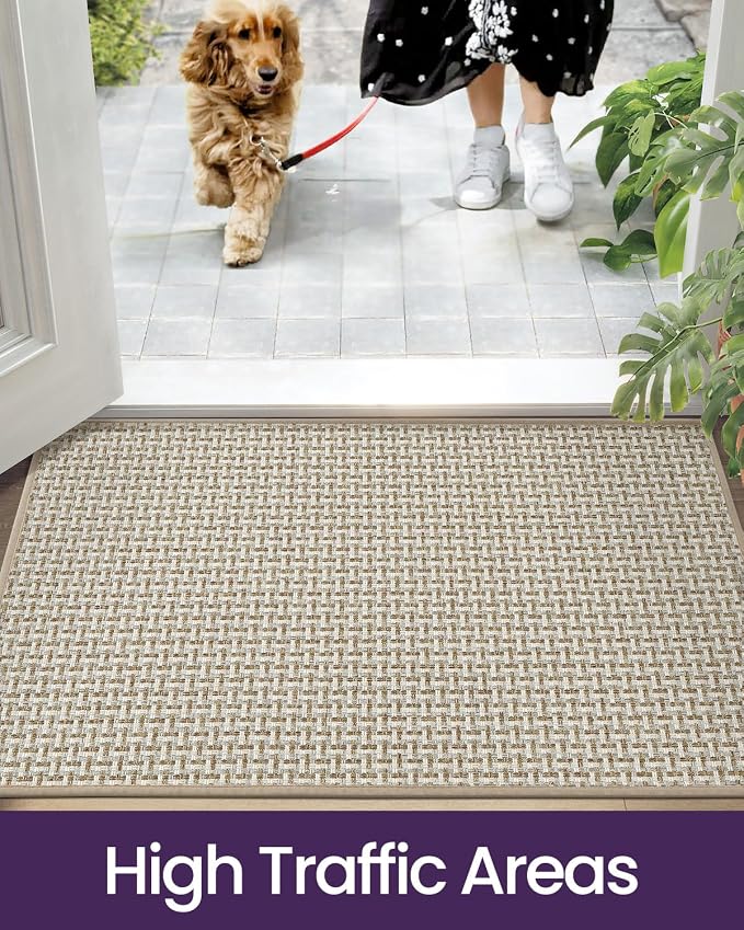 DEXI Ultra Thin Door Mat Indoor Entrance 17x30, Non Slip Rubber Backed Entryway - Image 8