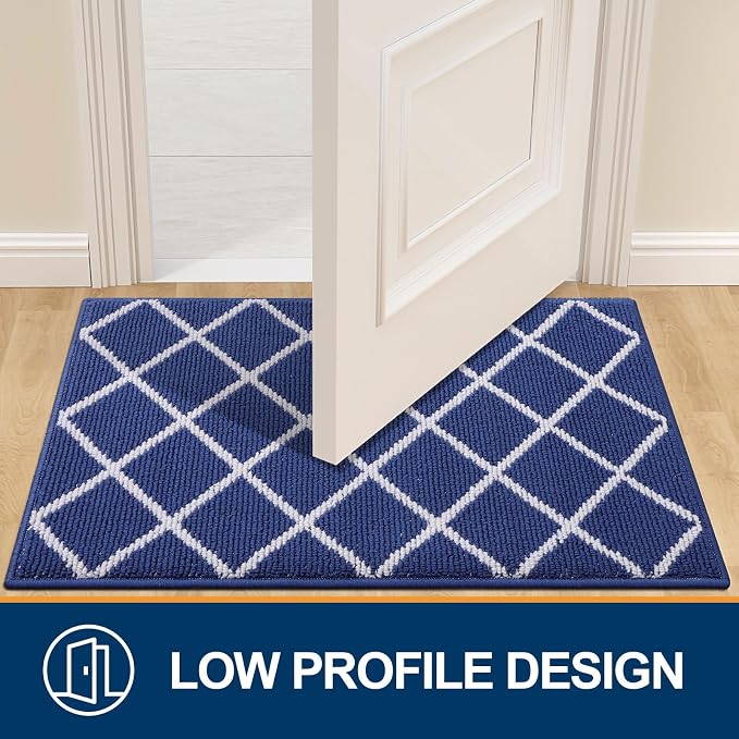 Finchitty Large Indoor Door Mat, Non-Slip Absorbent Resist Dirt Entrance Mat - Image 4
