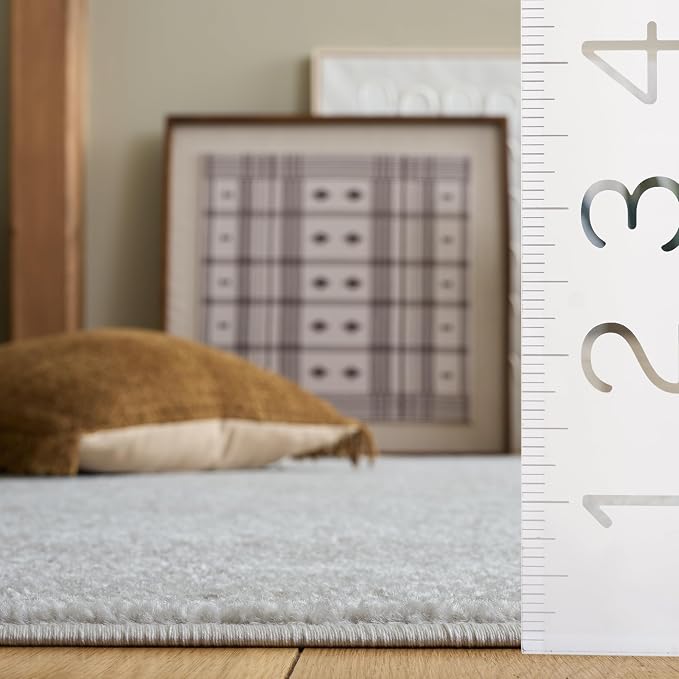 SAFAVIEH Accent Rug 3x5 - Image 5