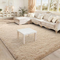 BENRON Fluffy Rugs for Living Room 5x8 Light Tan, Washable Large Area Rugs for by BENRON