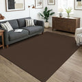 KOZYFLY Washable 5x7 Living Room Rug, Non Slip Woven Area Rugs, Braided Floor by KOZYFLY
