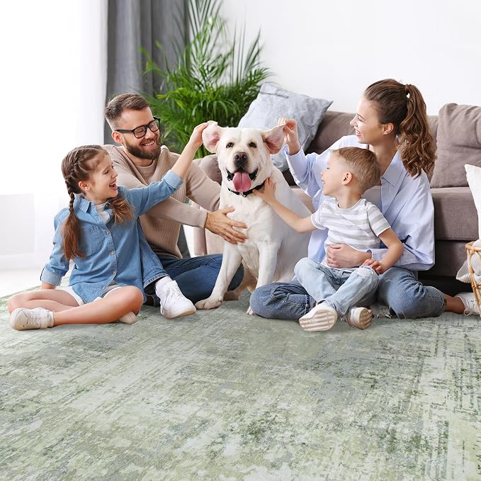 6x9 Area Rugs for Living Room Rug Washable: Modern Rug for Dining Room Bedroom - Image 7