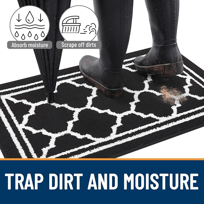 Buganda Indoor Door Mat, Dirt Resistant and Absorbent Entrance Mat, Low Profile - Image 2