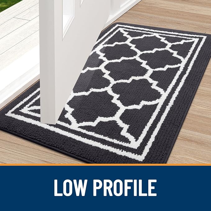 Buganda Large Indoor Door Mat, Dirt-Resistant and Absorbent Doormat, Low - Image 3