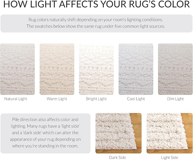 SAFAVIEH Arizona Shag Collection Area Rug - Image 10
