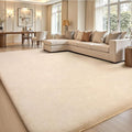 Sour Lemon 5x7 Area Rugs for Living Room, Soft Large Area Rug Fluffy Rugs for by SourLemon