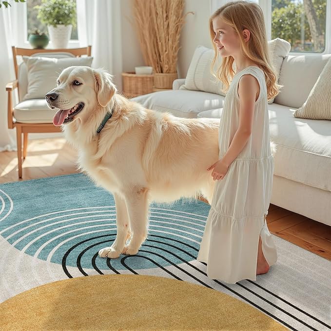 DCX Machine Washable Area Rug 9x12, Mid Century Modern Non Slip Stain Resistant - Image 4