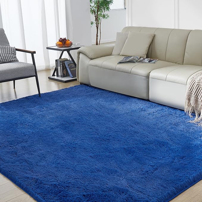 Ultra Soft Rug for Living Room, 4X6 Fluffy Shag Area Rug for Bedroom, Modern by Fairblink