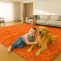 5x7 Plush Fluffy Area Rugs, Large Soft Carpet, Upgraded Non-Slip Rectangular Rug by Mtandyx