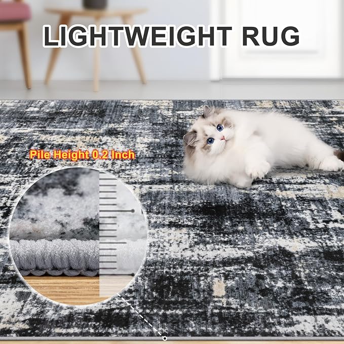 8x10 Area Rugs for Living Room - Image 6